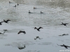 snjezni_sisak_12_26
