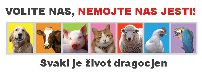 animals