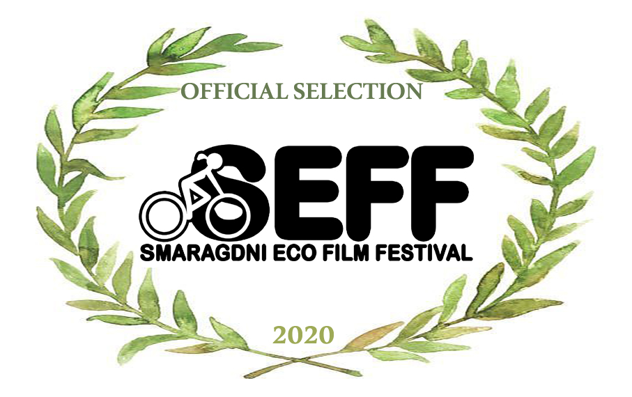 Selektirani filmovi 13. izdanja SEFF-a