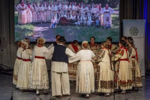 3-ZUPANIJSKI-PLETER_31