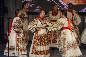 3-ZUPANIJSKI-PLETER_34