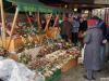 advent-kontorba_18_27