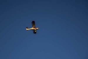 AERO-SHOW_14