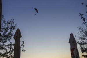 AERO-SHOW_20