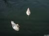 izlet-umirovljenika_-sisak_18-28