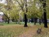 jesen-u-gradu-sisak-15-12