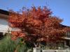 jesen-u-gradu-sisak-15-21