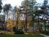 jesen-u-gradu-sisak-15-24