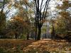 jesen-u-gradu-sisak-15-25