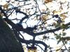 jesen-u-gradu-sisak-15-27