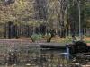 jesen-u-gradu-sisak-15-30