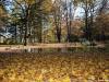 jesen-u-gradu-sisak-15-32