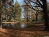 jesen-u-gradu-sisak-15-33