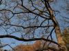 jesen-u-gradu-sisak-15-34