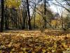 jesen-u-gradu-sisak-15-35