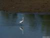 graba-sisak_2020_19