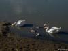 graba-sisak_2020_21