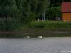 graba-sisak_2020_29