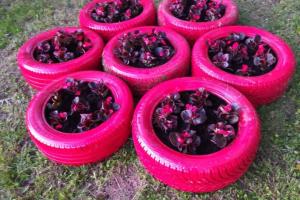 IMG-0b4caf4e1ab95e1298ecce2d22c72300-V