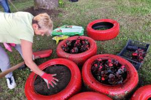 IMG-508d936b3bc3d3cbac7369858fd84530-V