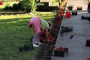 IMG-c1c1843d65e0ef5b9b393a32213ebe37-V