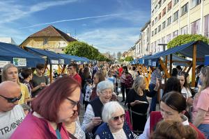 SMZ_image_2023-05-05_16-35-06-132