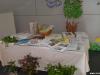 podizanje-zelene-zastave-sisak-15-04