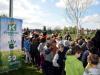 sadnja-brezi-sisak-14-12