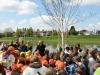 sadnja-brezi-sisak-14-14