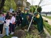 sadnja-brezi-sisak-14-16