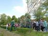 sadnja-brezi-sisak-14-19
