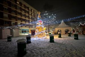 SisakPodSnijegom3