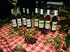 u-susret-martinju-sisak-15-07