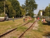 ambrozija_2012_12
