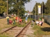 ambrozija_2012_13