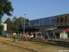 ambrozija_2012_17