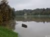 visok-vodostaj-sisak-15-12