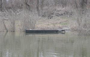 Sa obale rijeke Save ukraden je čamac Sa obale rijeke Save ukraden je čamac