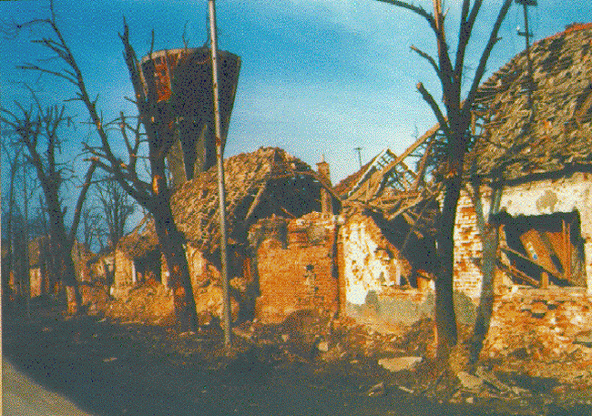 Savjet mladih poziva Siščane da im se pridruže u Danu sjećanja na žrtvu Vukovara Savjet mladih poziva Siščane da im se pridruže u Danu sjećanja na žrtvu Vukovara