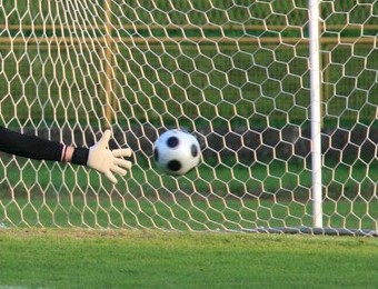 Novi proljetni bodovi “stare dame” Novi proljetni bodovi “stare dame”