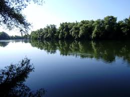 Ne preporuča se kupanje u Kupi na Vrbini Ne preporuča se kupanje u Kupi na Vrbini