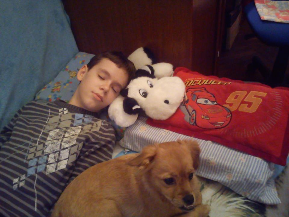 Humanitarna manifestacija sisačkih studenata Humanitarna manifestacija sisačkih studenata