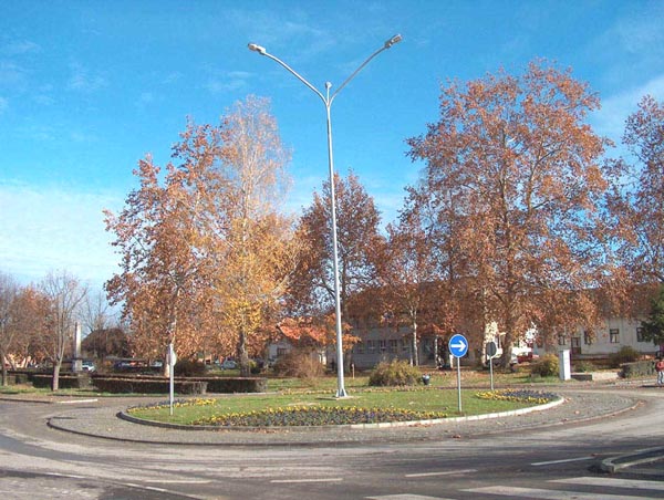 SUNJA: Grga Dragičević pobijedio za samo devet glasova SUNJA: Grga Dragičević pobijedio za samo devet glasova