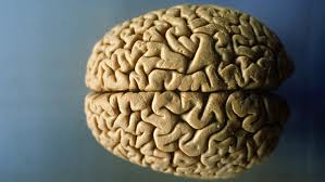 Radionica “Zaboravi zaboravljanje” Radionica “Zaboravi zaboravljanje”