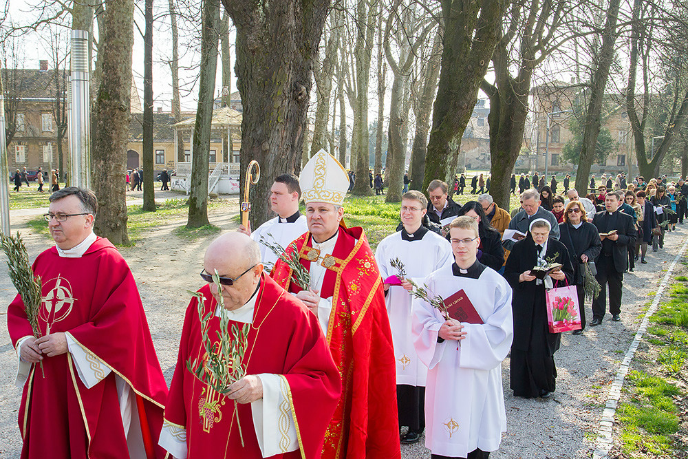 Cvjetnica u katedrali Uzvišenja svetog Križa u Sisku Cvjetnica u katedrali Uzvišenja svetog Križa u Sisku