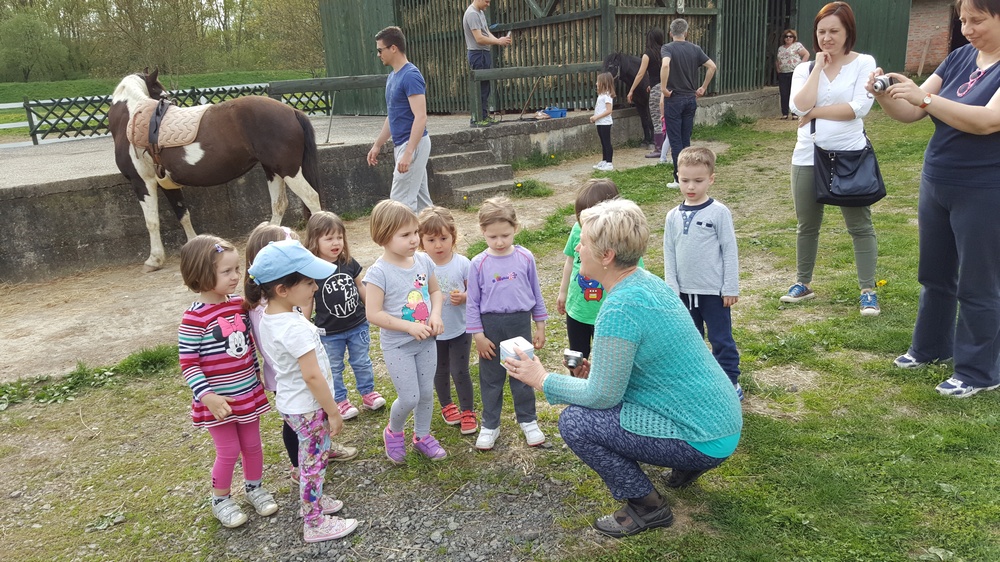 Jagodice i njihov omiljeni Zero ponovo zajedno Jagodice i njihov omiljeni Zero ponovo zajedno