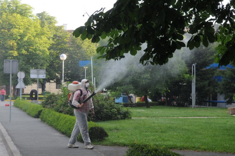 U petak zaprašivanje komaraca u Sisku U petak zaprašivanje komaraca u Sisku