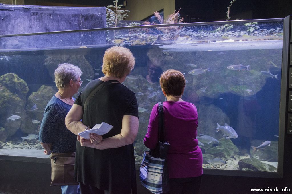Petrinja objavila poziv za podnošenje zahtjeva za uskrsnicu umirovljenicima
