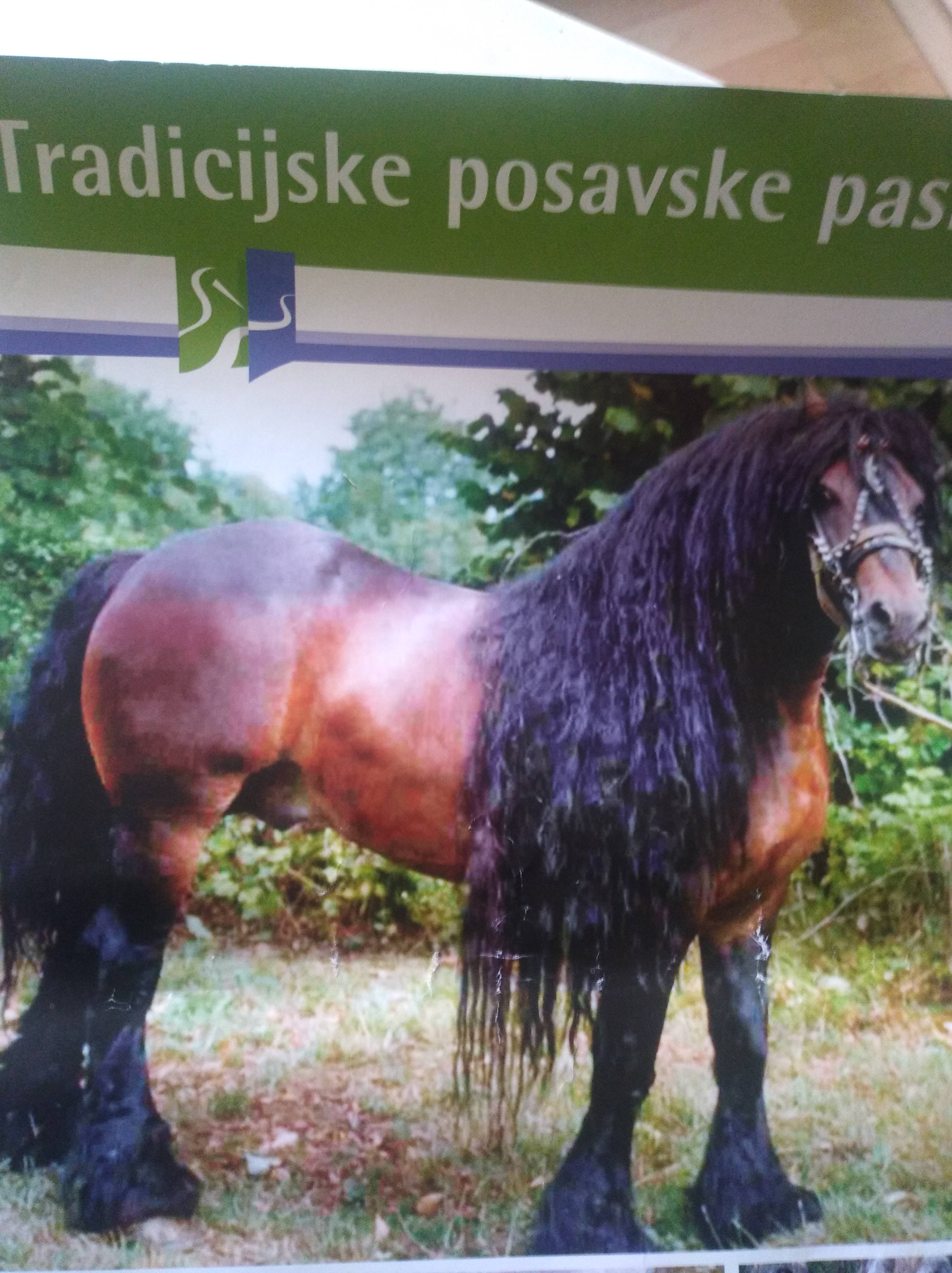 Nakon 25 godina sjedište SSHP izvan M. Vesi Nakon 25 godina sjedište SSHP izvan M. Vesi