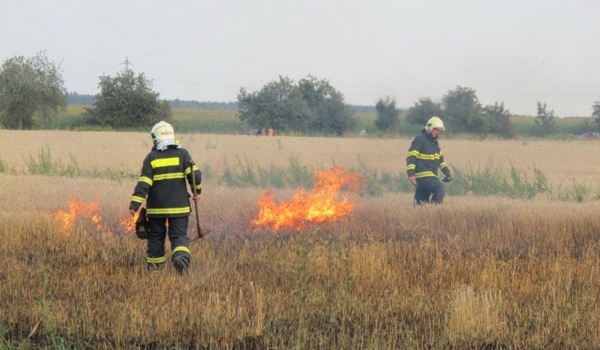 Paljenjem suhe trave izazvao požar Paljenjem suhe trave izazvao požar